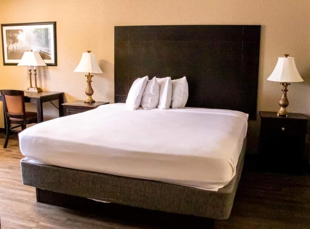 Econo Lodge Vidalia Εξωτερικό φωτογραφία